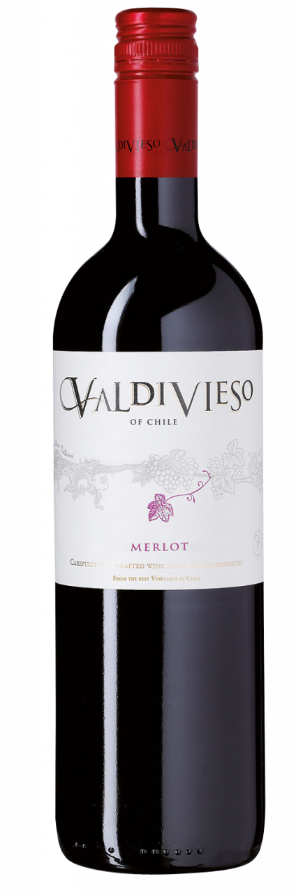 2018 Valdivieso Merlot Chile 0,75l